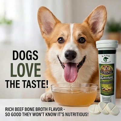 Dogs Electrolyte Supplement - Beef Broth – Hydration Support – 20 Tabs