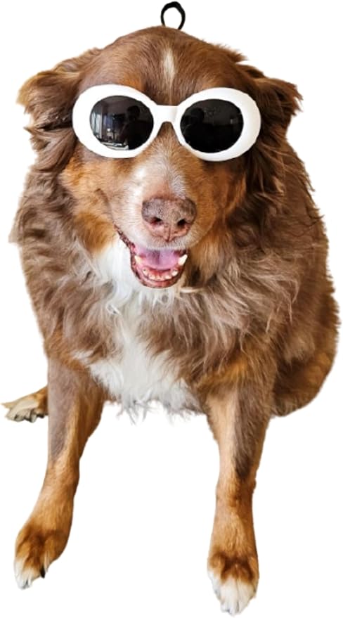 G026 Dog Pet Costume Prop Thick Oval Sunglasses G009 Medium-Large Breeds 25-55lbs (White)