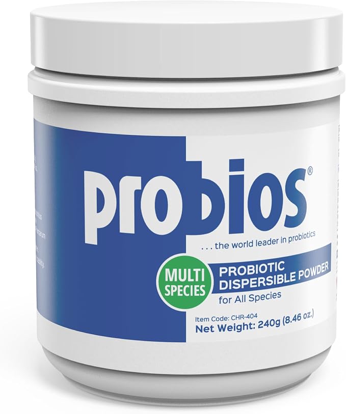 Probios Digestive Support Probiotic for Dogs, Horses, Cats, Gut Health Powder for All Species, Daily Supplement for Digestion Immune Support, 240 Grams