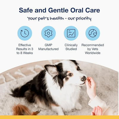 ProDen PlaqueOff Scoopables - Hickory Smoked Bacon Flavor Dental Bites for Small Dogs, Natural Kelp for Plaque & Tartar Control, Freshens Breath - Small & Medium Breed Dental Care- 45 Scoops
