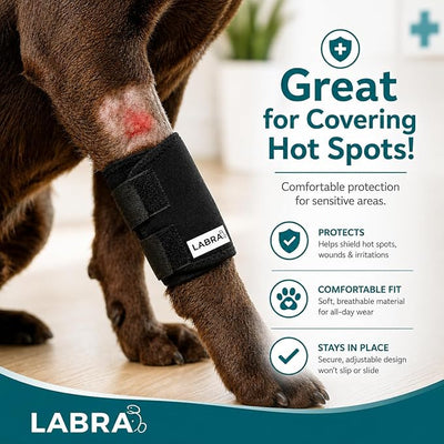 Labra Dog Front Leg Brace - Compression Wrap with Adjustable Straps - Dog Wrist Brace for Support - Leg Sleeve to Stop Licking - Aid in Wound Care and Recovery - Large/Extra Large