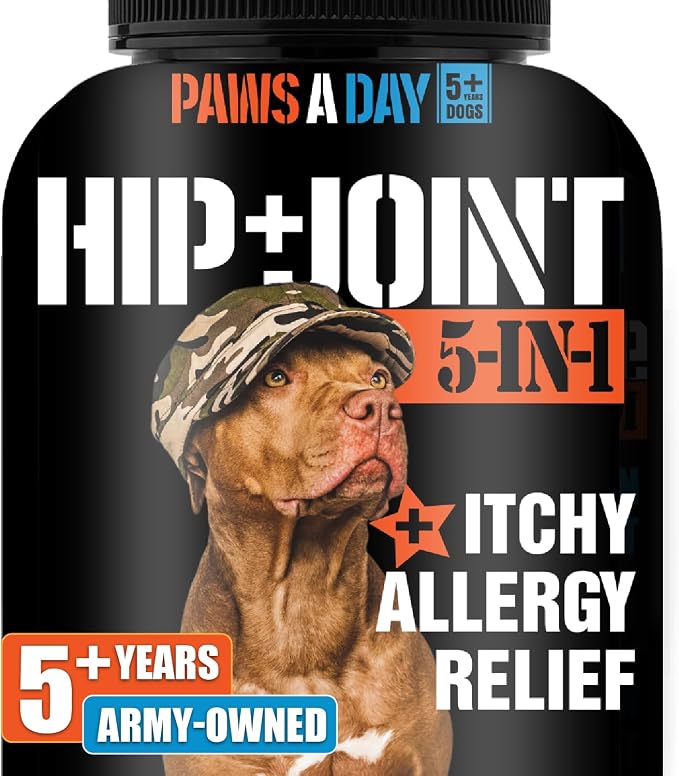 Glucosamine for Dogs Hip & Joint Supplement – “5-in-1 Combo” Dog Joint Care, Immune and Dog Itchy Allergy Relief with Quercetin, Omega-3 & Probiotic for Senior Dogs (5 Years+), 60 Chewable Tablet