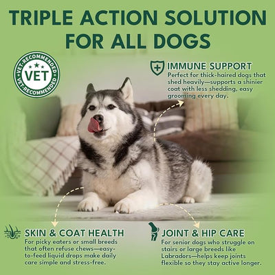 Liquid Collagen for Dogs, Natural Dog Collagen for Skin & Coat Support, Immune Support, Joint & Mobility Care with MSM, Middle-Aged and Older Dogs (Bacon Flavor - 60ml)