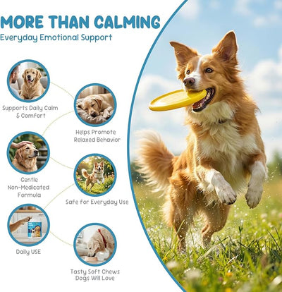 Calming Chews for Dog, Helps Support Relaxation & Stress Relief for Separation, Thunder & Travel, with Melatonin, Natural Soft & Tasty Chews, 200 Count
