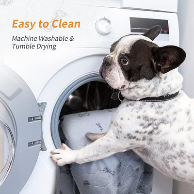 2Pack Puppy Pads Washable, 48x48 Reusable Pee Pads for Dogs, Absorbent Whelping Pads Waterproof Dog Rug Non-Slip Protector for Housbreaking,Potty Training,Bed Couch Carpet