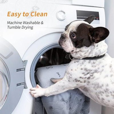 Washable Puppy Pads 2Pack , 41x41 Reusable Pee Pads for Dogs, Absorbent Whelping Pads with Bone Print, Waterproof Dog Rug Non-Slip Protector for Housbreaking,Potty Training,Bed Couch Carpet