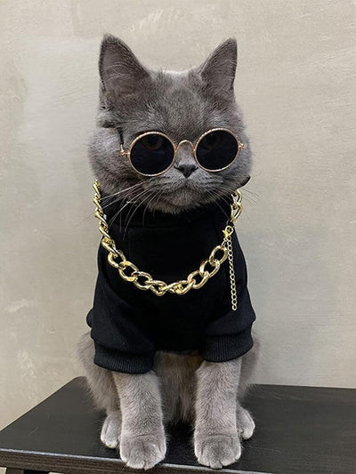 QWINEE 3Pcs Dog Hoodie Cat Apparel Dog Custume Set with Necklace and Sunglasses Pet Clothes for Puppy Small Medium Dogs Cats Multicolor XL