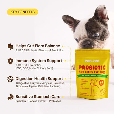 PENPEN Probiotics for Dogs, Dogs Probiotics for Digestive Health, Multi-Probiotic and Enzyme Blend Promote Gut Health & Immune Support, Eases Sensitive Stomachs (Beef Chews, 50ct)