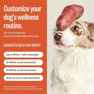 Ollie Zoomies Dog Hip and Joint Supplement - Glucosamine and Glucosamine Chondroitin for Inflimation Relief, 60 Count Appx.