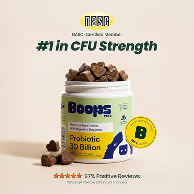 Probiotics for Dogs – 30 Billion CFU with Pre, Postbiotics & Digestive Enzymes – Supports Gut Health, Immunity, Loose Stools & Allergies – Filet Mignon Flavor – Vet Formulated – 60 Chews