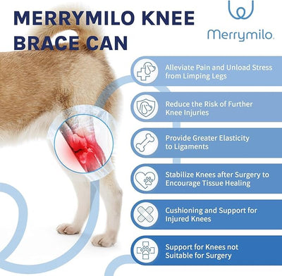 Dog Knee Brace for Hind Leg Support, Helps Stabilize ACL, Cruciate Ligament & Arthritis, Back Leg Recovery, Silver, X-Large