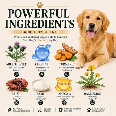 Advanced Liver Support Supplement for Dogs – Milk Thistle, Turmeric, Same & Choline – Liver Detox, Kidney Support, Immunity & Metabolic Boost – Organic Ingredients, Natural Chicken Flavor – 90 Chews