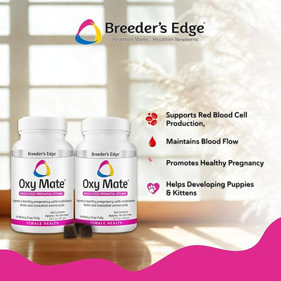 Breeder's Edge Oxy Mate Dog Prenatal Vitamins, Comprehensive Supplement for Pregnant Dogs and Cats Enriched with Essential Nutrients for Healthy Moms & Litters, Soft Chews - 120ct Medium & Large Dog