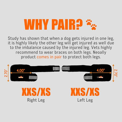 NeoAlly- Front Leg Brace for Dogs & Cats, Dog Leg Brace with Metal Spring Inserts, Dog Leg Sleeve for Carpal Support, Dog Leg Sleeve with Reflective Straps, XXS/XS, Pair