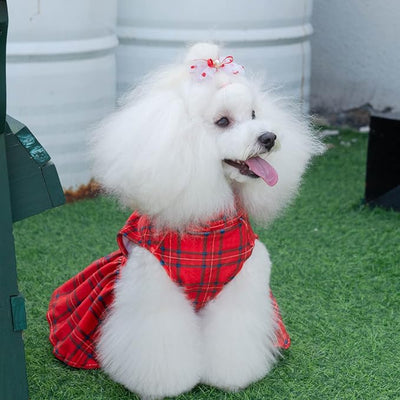 CuteBone Turtleneck Dog Christmas Dress Velvet Puppy Skirt Costume Pet Clothes Cat Apparel with Bow Hair Rope for Small Dogs CVD05M
