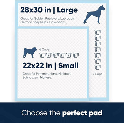 American Kennel Club Scented Puppy Training Pads with Ultra Absorbent Quick Dry Gel – 28 x 30 Pee Pads for Dogs - Fresh Scented - 50 Count, XL (Pack of 2)