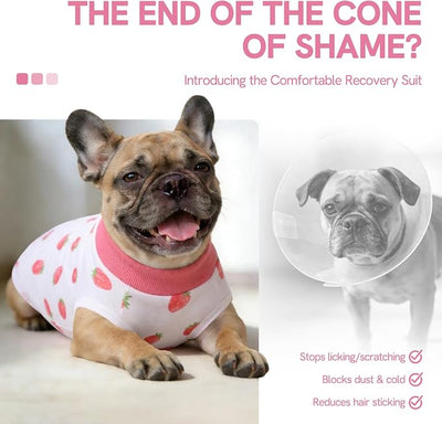 SAWMONG Recovery Suit for Dogs Female Male Zipper, Pink Strawberry Dog Onesie Body Suit After Surgery Spay Neuter, Cotton Breathable Dog Surgical Suit Pet, Substitute Dog E-Collar Cone, S