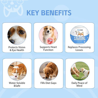 Doggy Supps Taurine - Taurine Supplement for Dogs - Immune Support, Boost Energy & Vitality, Skin & Coat Health for Heart, Vision & Daily Wellness - 200 Grams(1pc)