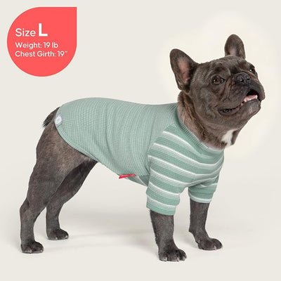 KYEESE 2Pack Waffle Dog Shirt with Sleeves, Lightweight Dog T Shirts for Small Dogs Boy Girl, Breathable Puppy Tee Shirts Soft Dogs Clothes for Daily Wear, Green+Striped, S