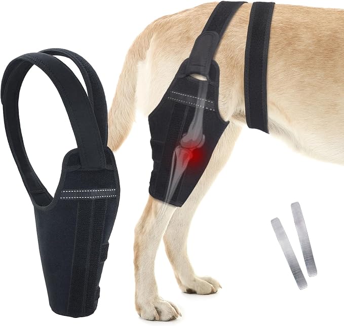 Dog Knee Brace–Adjustable Support Brace for Torn Acl Hind Legs with 2 Stabilizer Support to Reduces Pain, Ligament Injuries & Luxating Patella for Small Medium Large Dogs (Left Leg, S)