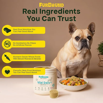 Dog Multivitamin Powder | 9-in-1 Whole Food Dog Vitamins and Dog Supplements that Supports Joint, Digestion, Skin & Coat, Immune, Cognition, Detox, Heart, Antioxidants (Cheesy Beef Flavor)