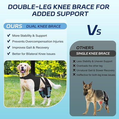 Dog Knee Brace for Torn ACL Hind Leg– Dog Leg Brace with Metal Stabilizers for Dogs with Torn ACL, Luxating Patella, Ligament Injuries & Hip Dysplasia, Limping or Osteoarthritis Recovery, L