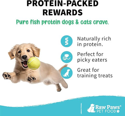 Raw Paws Smelt Freeze Dried Minnows for Cats & Dogs, 2-oz - Made in USA - Freeze Dried Fish for Cats - Single Ingredient Fish Dog Treats - Minnows Dog Treats