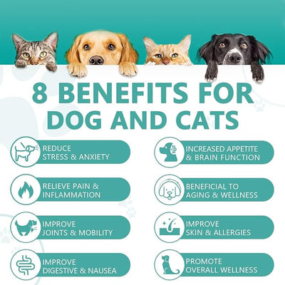 (3 Pack) Max Potency Hemp Oil for Dogs & Cats - Help Anxiety Stress Pain Inflammation Arthritis Aggressive Relax Sleep Allergies Seizures Relief - Treats Chews Joint & Hip - Organic Pet Calming Drops