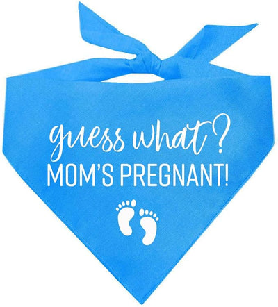 Guess What? Mom's Pregnant Dog Bandana | 100% Cotton Adjustable Triangle | Made in USA | New Baby | Pregnancy Announcement Photoshoot Prop | Gender Reveal | Turquoise X-Small (216)