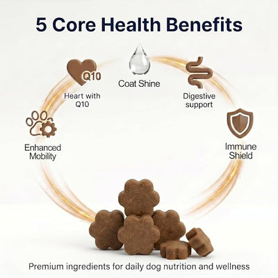 Dog Allergy Chews, Multivitamin Itch Relief Chews for Dog, Beef Flavor | With Salmon Oil, Chondroitin & Natural Vitamins, Skin and Coat Healthy, Digestive & Boost Immunity, 60 Soft Chews