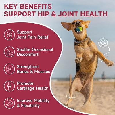 Hip & Joint Supplement for Dogs, Glucosamine for Dogs with MSM, Chondroitin, Omega-3, Turmeric, Calcium - Dog Joint Supplement for Dog Joint Pain Relief & Bone Health Support, 180 Freeze-Dried Chews