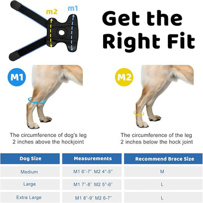 Dog Knee Brace for ACL Tear, Arthritis, Patella Luxation & Post-Surgery Support - Breathable, Adjustable Canine Leg Brace for Pain Relief & Mobility, for Medium & Large Dogs(L)