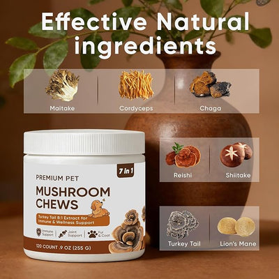 Turkey Tail Mushroom for Dogs - Mushroom Chews for Dog - Reishi, Lion’s Mane, Chaga - Immunity, Gut, Skin, Joint Support - All Breeds & Sizes - 120 Chews