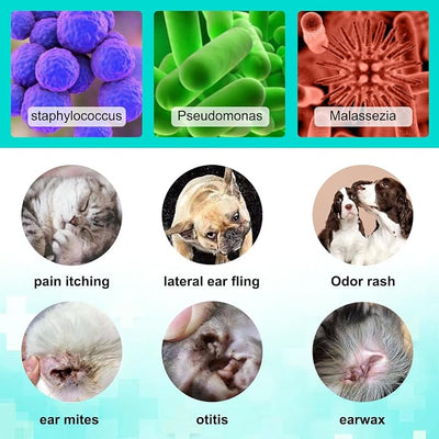 Daiasns Ear Mite Treatment for Cats & Dogs - Fast-Acting Ear Mite Drops, Dog Ear Infection Treatment, Ear Mite Treatment for Dog Yeast Infection, 100% Natural for Ear Relief - 0.75 fl oz (Pack of 1)