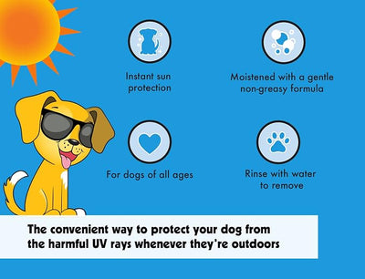 Petkin Dog Sunscreen Sunstick, 2 Pack – Sunscreen for Dogs and Puppies, SPF 15 – Simply Rub on Anytime for Instant Sun Protection – Vanilla Coconut Scent, .5 oz Net Weight – Ideal for Travel