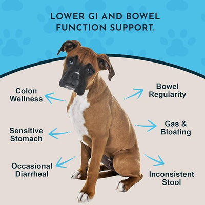 Animal Essentials Colon Rescue Powder - Herbal Digestive Aid for Dogs & Cats, Phytomucil, Healthy Gastrointestinal Tract, Certified Organic Herbs, No Preservatives, Glycerin-Based Formula - 1 Oz