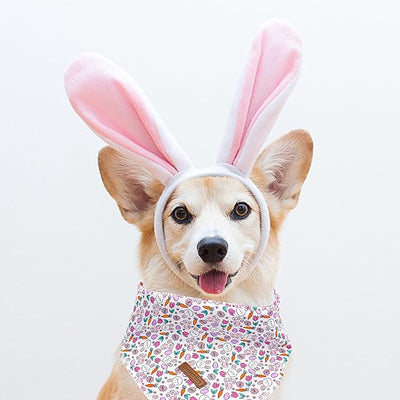 Lionheart Glory Easter Bandana Kerchief - Washable Soft Comfortable Scarf, Square Adjustable for Girl or Boy - Easter Eggs Rabbits Design for Medium Large Dogs