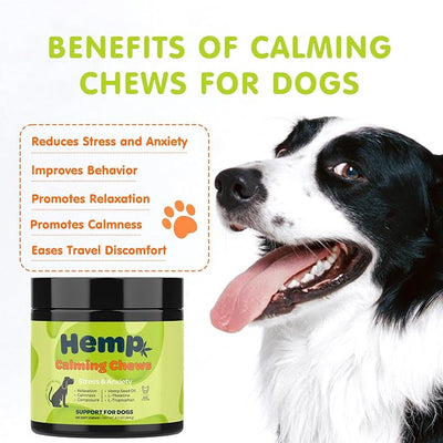 ZINGLY Hemp Calming Chews for Dogs Anxiety Relief, Dog Calming Chews - Anxiety Relief Treats, Anxiety Relief for Dogs Calming Treats, Calming Care for Dogs - Separation Aid, Barking, Bacon, 120 Counts