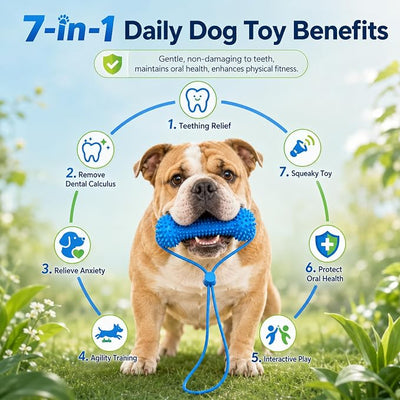 2Pcs Dual-Action Canine Dental Prop,Dog Toys Dual-Action Teeth Cleaning Mouth Prop,Pet Oral Care for Small,Dog Mouth Opener for Medium and Large Dogs