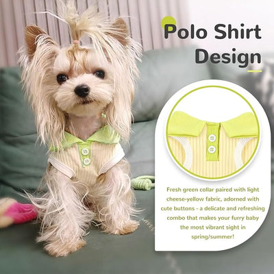 Dog Tshirts for Small Dogs Polo Shirt Stretchy Dog T Shirt Breathable Dogs Cooling Vest Girl Boy Puppy Dachshund French Bulldog Frenchie Chihuahua Clothes