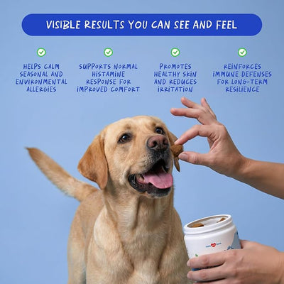 Dog Allergy Relief 90 Soft Chews - Itchy Skin, Immune & Quercetin | With Quercetin, Colostrum, Omega 3 & Probiotics. Relieves itchy skin, ear itching, seasonal allergy & boosts immunity.