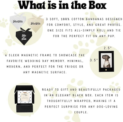 Dog Bridal, Wedding Gift Box – 3 Cotton Bandanas (My Parents are Getting Married, Just Married, She Said Yes!) & Magnetic Photo Frame 2.5" x3,5 |Baby Pink, One Size (332)