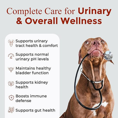 NATURE TARGET Dog UTI Treatment, Cranberry Supplement for Dogs – Urinary Tract & Bladder Support with D-Mannose, Marshmallow, Astragalus – Vet Formulated Immune & Kidney Support – Chicken, 120 Chews