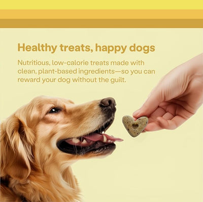 Wild Earth Superfood Dog Treats, Plant Based Dog Treats with Omega Acids, Prebiotics & Koji Protein, No Fillers, Veterinarian-Developed, Banana & Cinnamon Flavor (3-Pack)
