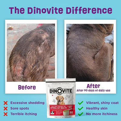 Dinovite Probiotics for Dogs, Probiotic Powder Food Topper for Large Dogs (45+ lb), Daily Digestive Health & Skin Support with Omega-3s, 90 Servings
