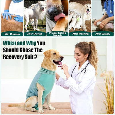 Dotoner Dog Surgery Recovery Suit for Male Female Neuter Anti-Lick Abdominal Wounds Bite Protective Outfit Alternative E-Collar & Cone Breathable Spay for Medium Large Dogs
