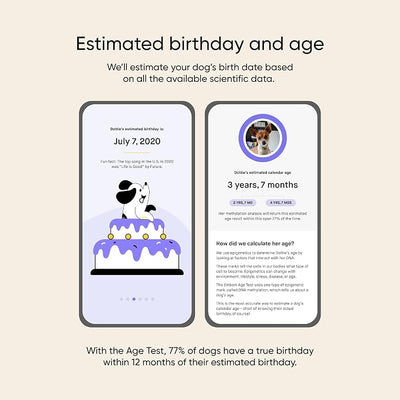 Embark Dog Age Test Kit - Estimates Age and Birthday - DNA Methylation - Best for Dogs Past Puppy Stage - Includes Life Stage Care Tips - Great for Rescue Dogs