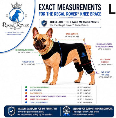 Dog Rear Knee Brace for Small & Medium Breeds, Adjustable Hind Leg Support for ACL/CCL Injury Recovery, Joint Stability, Ligament Protection & Injury Prevention (L)