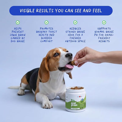 Grass Burn Spot Chews - Dog Urine Neutralizer & Lawn Protector | With Canine Enzyme Blend, Probiotics & Cranberry. Neutralizes dog urine to protect lawn from burn spots & yellowing.