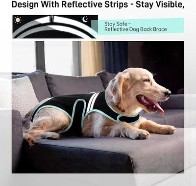 Dog Back Brace, Breathable Dog Post-Surgery Vest for IVDD, Arthritis & Spine Support, Adjustable Reflective Pet Back Bracer Pain-Relieving Harness, Black XL
